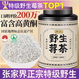 贡苑张家界正宗野生莓茶 头采新茶藤茶龙须芽尖特级永高山顺霉茶55g