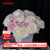 京东鲜花【粉色加白色】玫瑰各10枝如意基地鲜花插花生活礼品花束源头直发