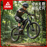 匹克山地自行车山地车自行车学生12到18岁自行车儿童自行车6-12岁单车 凌风|暮云灰+辐条轮单速+礼包 20寸【适用身高130-150cm】