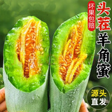 粤迎山东羊角蜜甜瓜【多地次日达】头茬香瓜新鲜应季水果脆甜多汁整箱 4斤尝鲜装【当季尝鲜-较划算】净3.0斤 SS+级精选果【单果250g+】蕞甜