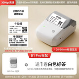精臣 B1智能标签打印机生产日期商品合格打价格条码服装吊牌热敏不干胶姓名贴纸手持小型超市价签商用 高清B1Pro浅沙+送1卷四防白色标签