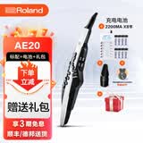 罗兰电吹管AE20旗舰款电萨克斯AE30自带音源电子管乐老年大学推荐款 AE20电吹管+充电电池+备用吹嘴+全套配件
