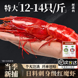鲜喜利红魔虾鲜活超大刺身甜虾海鲜水产冰虾舟山船冻新鲜海虾生鲜胭脂虾 红魔虾刺身级 500g(净重)  7-10cm【30—44头/斤 顺丰 】