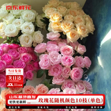 京东鲜花随机玫瑰10枝鲜切花基地直发礼品节日年宵节情人礼物花束源头直发