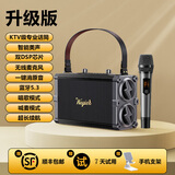 styl.myl品牌【HIFI音质】便携手提蓝牙音响无线话筒小型户外广场舞唱歌带麦克风居家艺术桌面音箱生日礼物 雅黑（单麦）【专业级K歌音响套装】