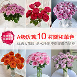悦多彩AB级优质香水百合 家庭办公室各色生活鲜花 昆明基地 现采直发 单头玫瑰10支（随机色）