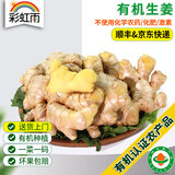 彩虹雨有机生姜500g 小黄姜有姜味 有机蔬菜生鲜