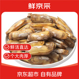 鲜京采 宁波长街蛏子2斤装（约90只）鲜活发货 海鲜贝类 源头直发 