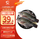 GUO LIAN国联水产三去罗非鱼4条共2.8斤净重非洲鲫鱼生鲜源头直发