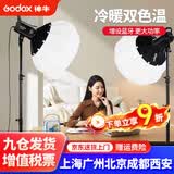 神牛（Godox）SL60IID二代SL60IIBi双色温直播补光灯LED摄影灯视频常亮美颜拍照摄影棚卖货打光柔光发丝灯 SL60IID/Bi-官方标配 SL60IID-白光版