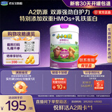 君乐宝小小鲁班诠维爱AII儿童配方奶粉4段(3周岁以上)800g 乳铁蛋白