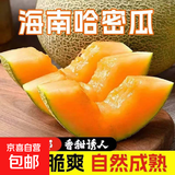 海南哈密瓜  脆甜多汁软糯香甜蜜西州密瓜 新鲜采摘应季生鲜水果 多仓发货哈密瓜带箱4.5-5斤（2-3个）