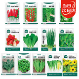 北蔬 菜种子大全黄瓜西红柿草莓生菜辣椒种籽 [家庭种]13种蔬菜种子