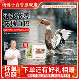 杨博士皖南散养溪水河鸭 净重2斤 老鸭子麻鸭土鸭鸭肉生鲜源头直发