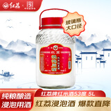 红荔米香型白酒 53度 浸泡酒5L 红米酒广东米酒青梅药材养生酒泡酒