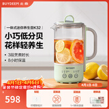北鼎（Buydeem）多功能养生壶 家用保温壶 迷你煮茶壶便携煮茶器 茶咖萃取烧水壶 送礼好物 【一体式单壶】浅杉绿K32| 0.6L