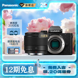 松下（Panasonic）Lumix G100D M43画幅相机 M43卡口 微单相机 无反数码相机 G100D单机+【25mmF1.7】单镜头定焦