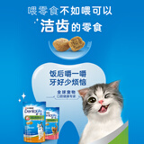 齿一生【临期】猫零食猫咪饼干洁齿磨牙零食成猫 三文鱼味50g效期至26.7