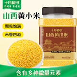 十月稻田山西黄小米 800g 山西原产25年新米 小米杂粮 小米黄小米 早餐粥