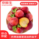 京鲜生 国产油桃 鲜桃子 净重1斤装 单果60g+ 生鲜水果