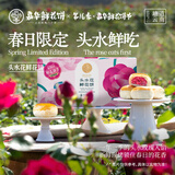 嘉华鲜花饼经典玫瑰饼云南特产伴手礼糕点心小吃面包休闲零食早餐 头水玫瑰饼品鉴2枚装