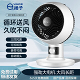 扬子（YAIR）空气循环扇台式电风扇落地扇家用节能涡轮大风力 台式机械款