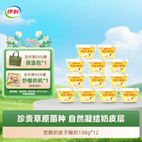 伊利宫酪 呼伦贝尔奶皮子酸奶 厚奶皮风味酸乳138g*12杯 源头直发包邮