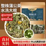 山林百草 【水洗大根】整株蒲公英250g 新货带根  蒲公英叶根茶产地高品质