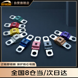 欧锐驰汽车平板式保险丝蓄电池电瓶螺栓型大电流保险片组合