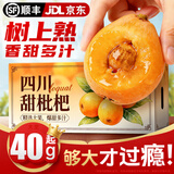 粤迎四川攀枝花米易枇杷【JD顺丰多地次日达】新鲜水果大五星甜琵琶 3斤A+级中果【单果20g+】净2.4斤