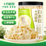 十月稻田白玉木耳 90g 东北特产 菌菇干货 易泡发 火锅煲汤食材