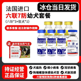 宠莱富狗狗疫苗幼犬疫苗狂犬疫苗幼犬四联法国进口六联疫苗狗狗幼犬疫苗狗狗四联疫苗 幼犬套餐【六联*3+狂犬】+驱虫药 1支*1支