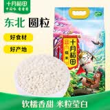 十月稻田 糯米 5斤 新米 东北圆粒糯米 五谷杂粮米 粽子糯米粉  端午