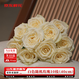 京东鲜花玫瑰花白色随机品种10枝40cm起发基地鲜切花礼品增亲友鲜花