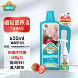 德沃多植物营养液600ml+幸福树免稀释500ml水培绿植盆栽花肥浓缩液体肥