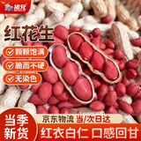猪兄四粒红花生2斤 原味带壳红衣红皮花生仁下酒菜解馋坚果炒货花生米