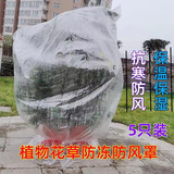 植物加厚塑料薄膜保暖罩防寒防冻防风果树花卉盆栽绿植过冬保护罩 【120*160CM】加厚（5只装）