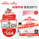 皇家幼猫猫粮 幼猫奶糕 K36 通用粮 4-12月 10KG