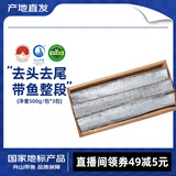 海鼎纪舟山带鱼段品质整段500g *3包 生鲜鱼类 源头直发
