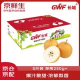 京鲜生 长城丰水梨 5斤装 单果250g+ 生鲜水果