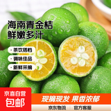 海南青金桔新鲜小金桔 净重1斤大果（10g-20g）
