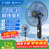 钻石牌落地风扇电风扇落地扇摇头定时家用多档调速机械/遥控风扇强劲大风力摇头定时 14寸二级能效机械款（铜线电机）