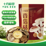 十月稻田 香信菇 150g 庆元产 香菇 山珍菌菇干货 煲汤火锅炒菜食材