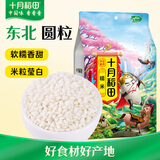 十月稻田 糯米 2斤 新米 东北圆粒 粽子米八宝粥原料 低脂粗粮 可酿米酒