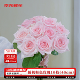 京东鲜花玫瑰花粉色系随机10枝长度40cm送闺蜜家庭瓶插水养源头直发