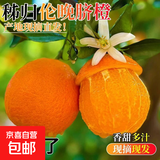 湖南麻阳冰糖橙冰糖柑果园产地直发新鲜孕妇老人水果当季60-65mm 麻阳冰糖橙带箱橙2斤装60-65mm普箱