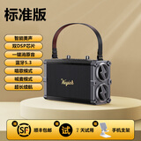 styl.myl品牌【HIFI音质】便携手提蓝牙音响无线话筒小型户外广场舞唱歌带麦克风居家艺术桌面音箱生日礼物 雅黑（单音响）【专业级K歌音响套装】