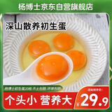 杨博士初生蛋20枚净重1.2斤新鲜散养土鸡蛋溏心蛋中秋节送礼源头直发