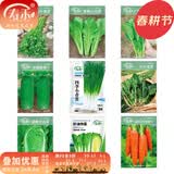 寿禾 天津沙窝萝卜种子春夏季大全水果青罗卜季长白寿光蔬菜菜籽种孑 9种蔬菜种子套餐