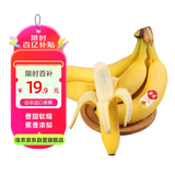 佳农 进口大把香蕉净重2.4斤 家庭装 生鲜水果 源头直发 包邮